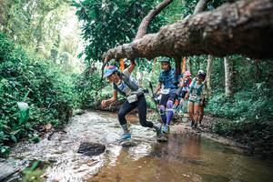 BIB: 
                            <button type="button" onclick="openModal(25369602)" class="btn btn-primary btn-sm float-right btn-popup" data-toggle="modal" data-target=".modal-high-quality">
                        <i class="fas fa-shopping-cart"></i> Add to Cart
                    </button>
                                            <button type="button" onclick="isThisMe(25369602, true)" class="btn btn-success btn-sm float-right btn-popup btn-isme hidden" data-toggle="tooltip" data-placement="bottom" title="นี่คือรูปของคุณใช่ไหม คลิกที่นี่เพื่อเอาเข้าอัลบั้ม">
                        <i class="fas fa-plus"></i> Add to album
                    </button>
                    <button type="button" onclick="isThisMe(25369602, false)" class="btn btn-warning btn-sm float-right btn-popup btn-isnotme hidden">
                        <i class="fas fa-ban"></i> Remove from album
                    </button>